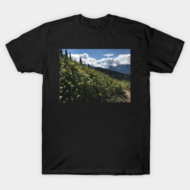 Mountain Flowers and Clouds T-Shirt by Sparkleweather